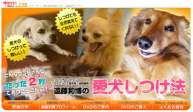 犬のしつけ遠藤01.png